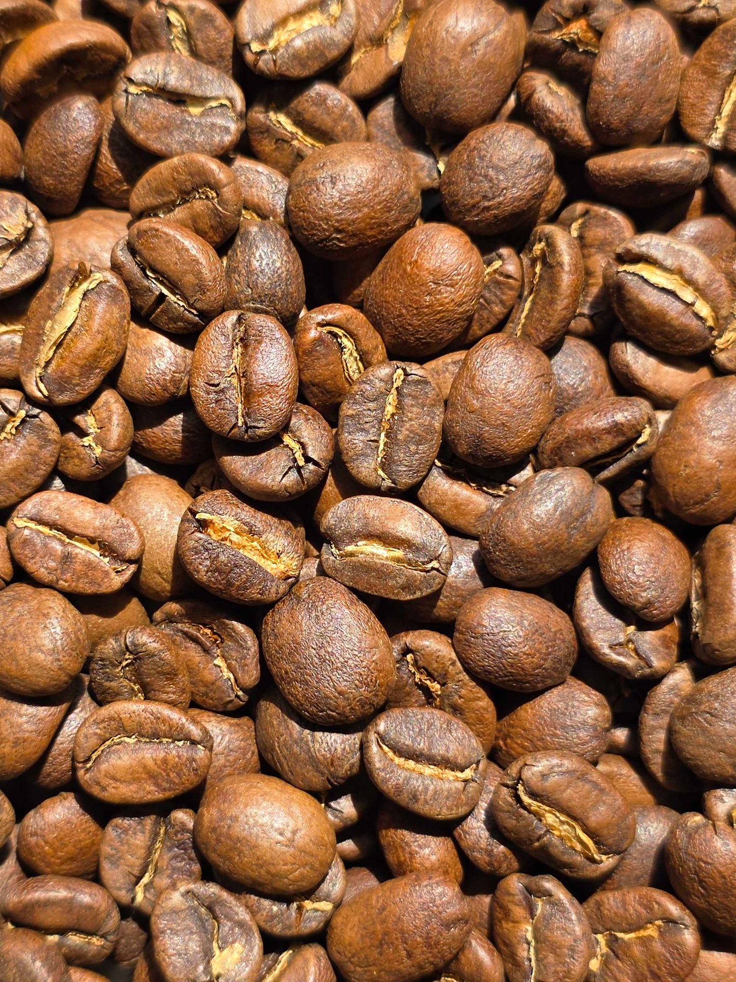 店舗:FIVE COFFEE STAND&ROASTERY(東京)珈琲豆:ボリビア(浅煎り)