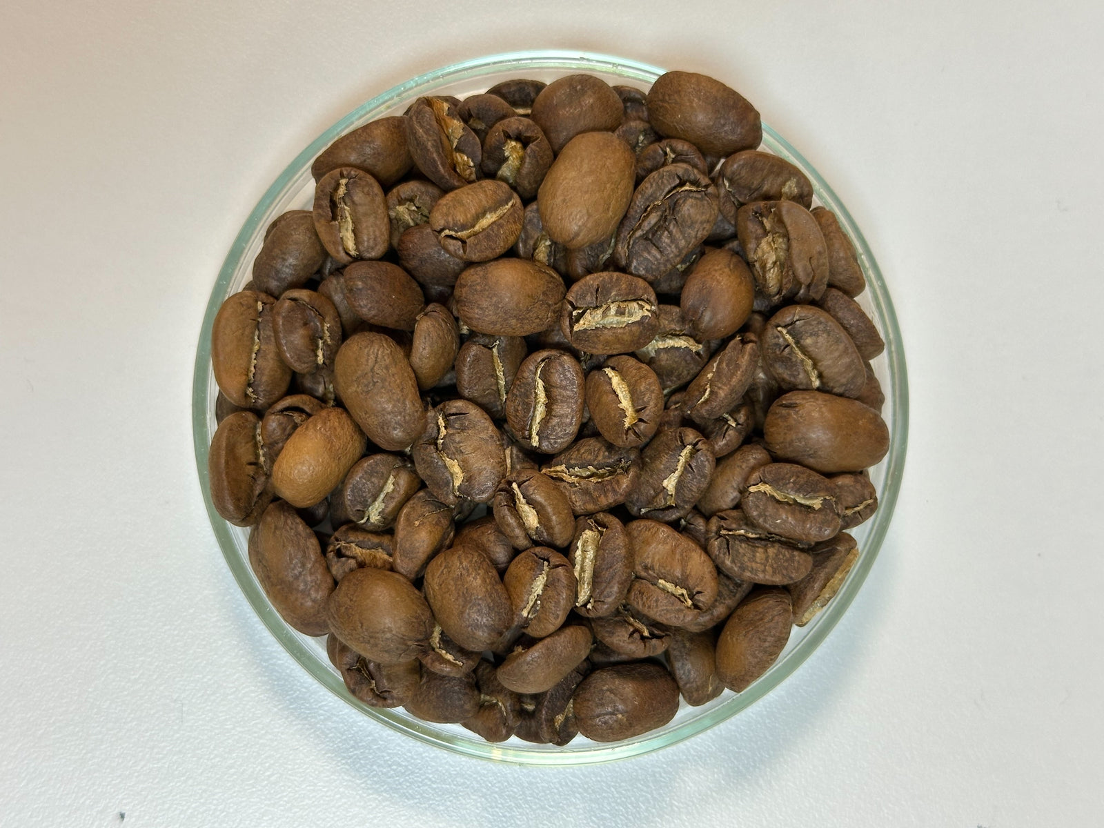 エルサルバドル