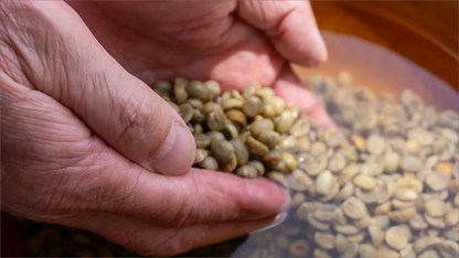 店舗：Karimon　COFFEE（東京） 珈琲豆：D.D ブレンド(深煎り)